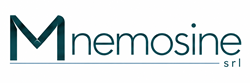Mnemosine srl